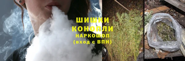прущие грибы Белокуриха