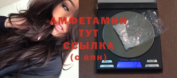 прущие грибы Белокуриха