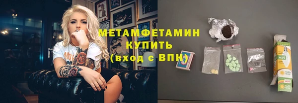 прущие грибы Белокуриха