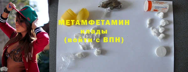 прущие грибы Белокуриха