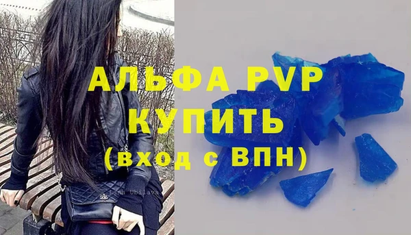 прущие грибы Белокуриха