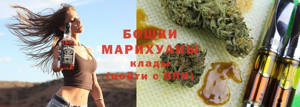 прущие грибы Белокуриха