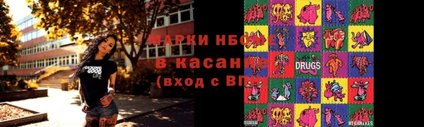 прущие грибы Белокуриха