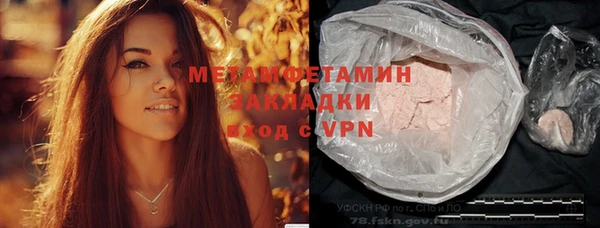 прущие грибы Белокуриха