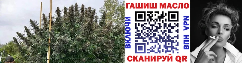 omg зеркало  Курильск  ТГК гашишное масло 
