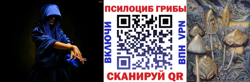 Псилоцибиновые грибы Cubensis  mega ссылки  Курильск  где продают  